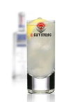GIN FIZZ